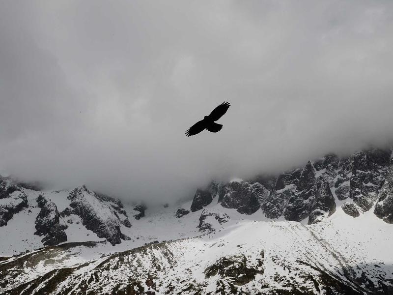 饥饿游戏<br>bcxjjkz.cn 施惠国竞技场
